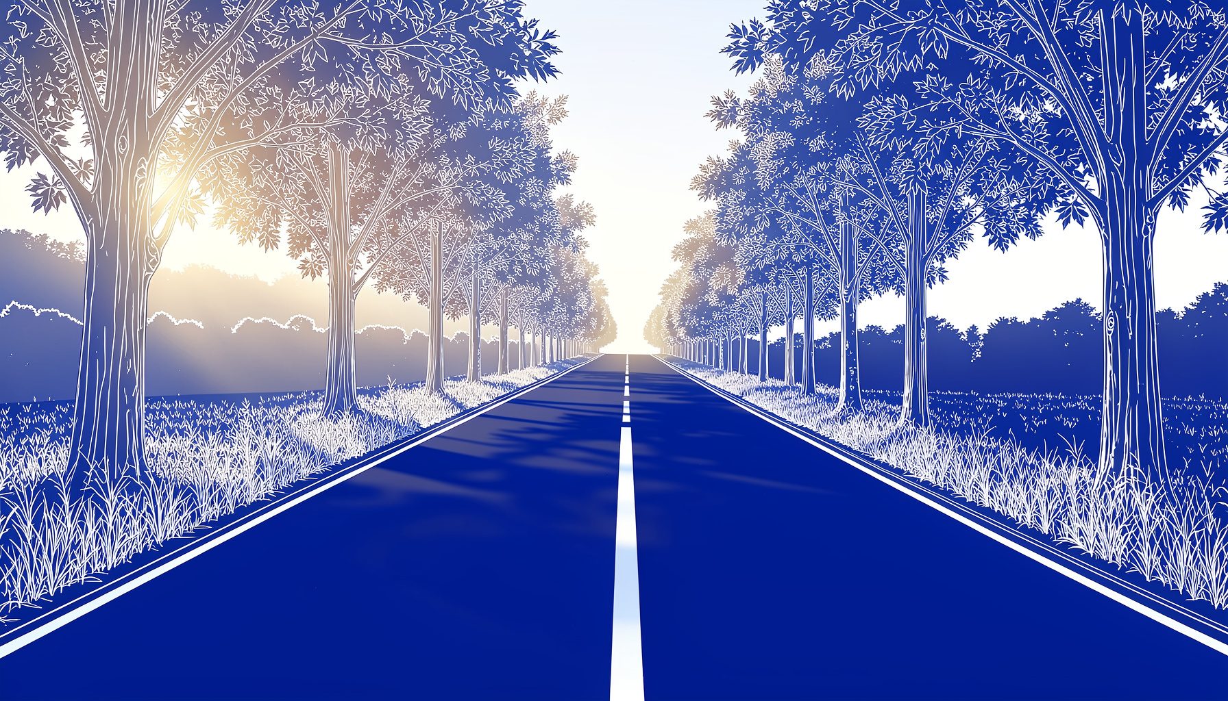 A wide view of a quiet country road on a sunny morning, with soft golden light filtering through trees lining both sides of the pavement, casting long shadows across the asphalt.