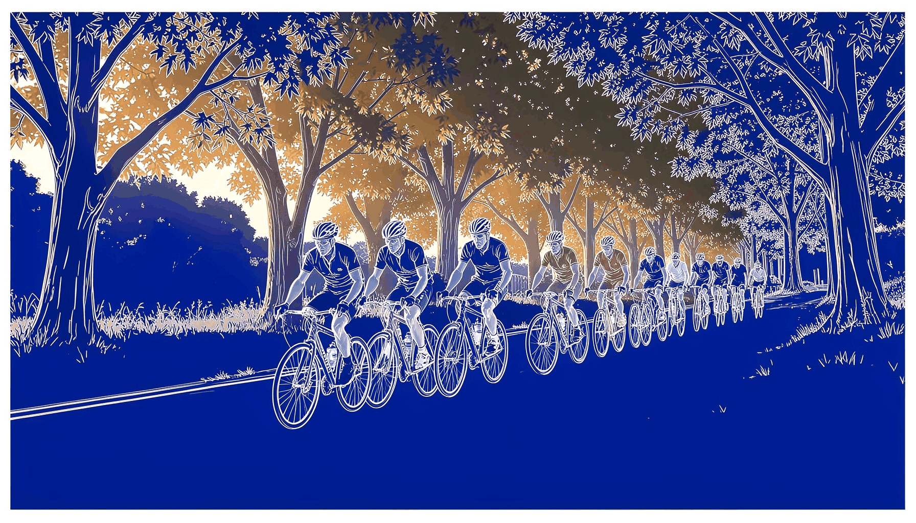 A group of cyclists riding in a loose paceline along a tree-lined rural road, dappled sunlight filtering through the canopy, warm golden-hour tones