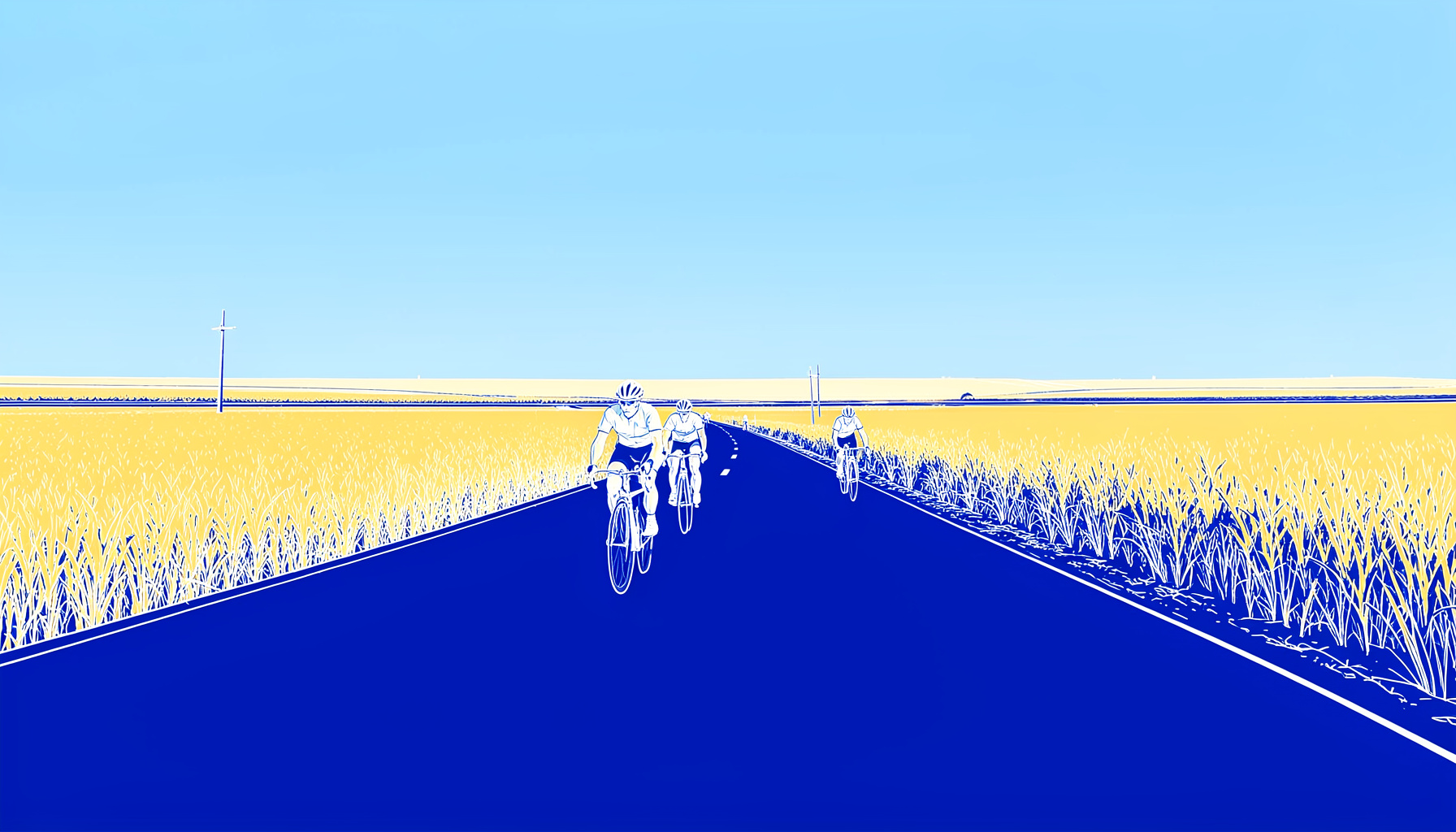 A wide view of cyclists riding along a sunlit rural road, with golden fields stretching to the horizon under a soft blue sky.
